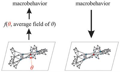 Fractional Dynamics of Individuals in Complex Networks